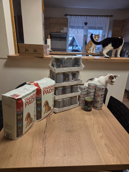 Kočičí domov Sluníčko, z.s.